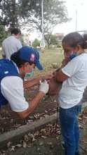 Contin&uacute;an Jornadas de vacunaci&oacute;n antirr&aacute;bica para caninos y felinos