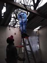 DAGMA denuncia graves afectaciones al arbolado en la Comuna 5