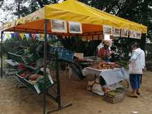 Regresa el mercado org&aacute;nico a la colina de San Antonio