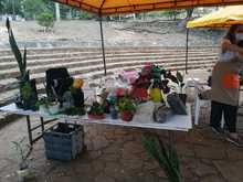 Regresa el mercado org&aacute;nico a la colina de San Antonio