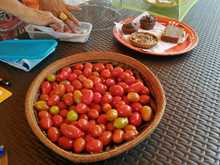 Regresa el mercado org&aacute;nico a la colina de San Antonio