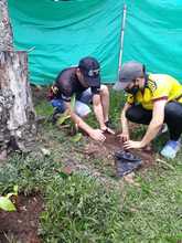 En el D&iacute;a Mundial del Turismo, Pance tiene 3 mil &aacute;rboles nuevos