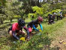 En el D&iacute;a Mundial del Turismo, Pance tiene 3 mil &aacute;rboles nuevos