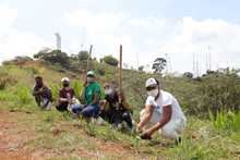 Juventud &lsquo;guardiana de vida&rsquo; sembr&oacute;, bail&oacute; y cant&oacute; en el cerro de Cristo Rey