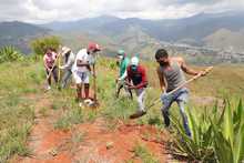 Juventud &lsquo;guardiana de vida&rsquo; sembr&oacute;, bail&oacute; y cant&oacute; en el cerro de Cristo Rey