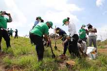 Juventud &lsquo;guardiana de vida&rsquo; sembr&oacute;, bail&oacute; y cant&oacute; en el cerro de Cristo Rey