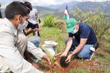 Juventud &lsquo;guardiana de vida&rsquo; sembr&oacute;, bail&oacute; y cant&oacute; en el cerro de Cristo Rey