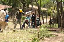 Recuperado predio en el cerro de Las Tres Cruces