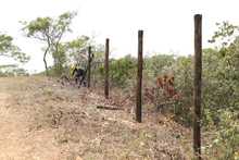 Recuperado predio en el cerro de Las Tres Cruces