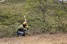 Recuperado predio en el cerro de Las Tres Cruces