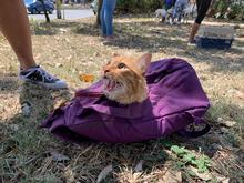 El Centro de Zoonosis previene y trabaja por mitigar las enfermedades