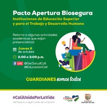 Modelo de alternancia en instituciones de educaci&oacute;n superior en Cali