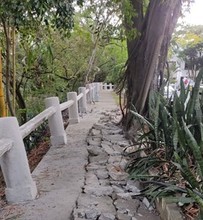 Inici&oacute; la primera fase del corredor ecol&oacute;gico de la ribera del r&iacute;o Cali 