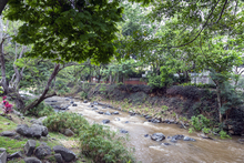Recuperaci&oacute;n de la ribera del r&iacute;o Cali