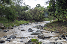 Limpieza y recuperaci&oacute;n de la ribera del r&iacute;o Cali