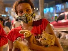 Zoonosis adelanta campa&ntilde;a de vacunaci&oacute;n nocturna 