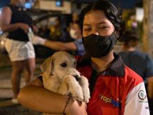 Zoonosis adelanta campa&ntilde;a de vacunaci&oacute;n nocturna 