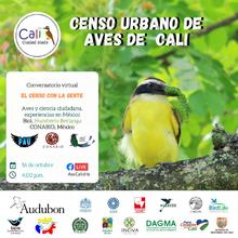 Oiga, mire y vea aves: participa al VI Censo Urbano de Aves.