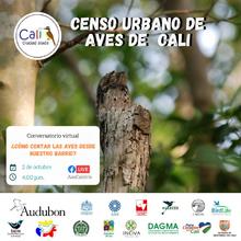 Oiga, mire y vea aves: participa al VI Censo Urbano de Aves.