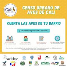 Oiga, mire y vea aves: participa al VI Censo Urbano de Aves.