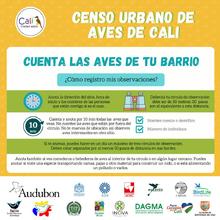 Oiga, mire y vea aves: participa al VI Censo Urbano de Aves.