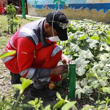 Entre la comunidad y la institucionalidad le cambian la cara Potrero Grande 