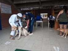  Jornadas gratuitas del Centro de Zoonosis de Cali