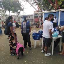  Jornadas gratuitas del Centro de Zoonosis de Cali