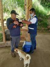  Jornadas gratuitas del Centro de Zoonosis de Cali