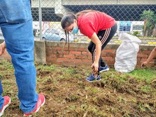 Sembrando cultura ambiental con el Bloque Averno Central del Bar&oacute;n Rojo Sur