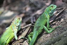 Dagma conmemor&oacute; el D&iacute;a Mundial del H&aacute;bitat con j&oacute;venes del oriente de Cali