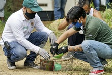 Dagma conmemor&oacute; el D&iacute;a Mundial del H&aacute;bitat con j&oacute;venes del oriente de Cali