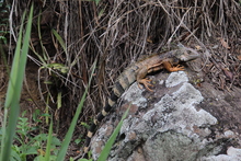Dagma conmemor&oacute; el D&iacute;a Mundial del H&aacute;bitat con j&oacute;venes del oriente de Cali