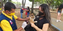 Medidas de bioseguridad en la jornada de salud animal de la comuna 5 