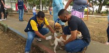 Medidas de bioseguridad en la jornada de salud animal de la comuna 5 