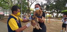 Medidas de bioseguridad en la jornada de salud animal de la comuna 5 