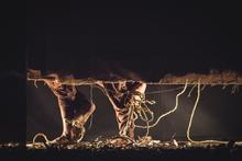 Festival Internacional de Teatro de Cali en su tercer d&iacute;a