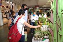 Llegan los &lsquo;Frutos de mi Vereda&rsquo; al Bulevar del R&iacute;o con las tiendas campesinas