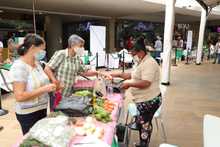 Llegan los &lsquo;Frutos de mi Vereda&rsquo; al Bulevar del R&iacute;o con las tiendas campesinas