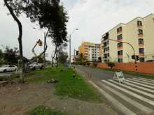 En funcionamiento el sem&aacute;foro de la calle 13 con calle 14