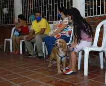 Salud P&uacute;blica comprometida con los animales de compa&ntilde;&iacute;a