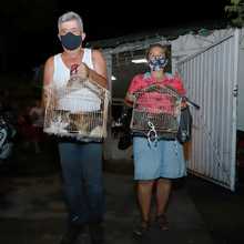 Salud P&uacute;blica comprometida con los animales de compa&ntilde;&iacute;a