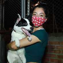 Salud P&uacute;blica comprometida con los animales de compa&ntilde;&iacute;a