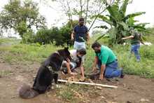 Con restauraci&oacute;n ambiental en La Viga, Dagma conmemora el D&iacute;a Mundial contra el Cambio Clim&aacute;tico