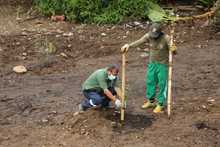 Con restauraci&oacute;n ambiental en La Viga, Dagma conmemora el D&iacute;a Mundial contra el Cambio Clim&aacute;tico