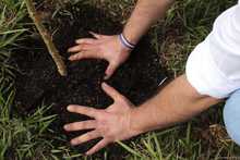 El domingo se sembr&oacute; vida en el Coraz&oacute;n de Pance