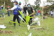 El domingo se sembr&oacute; vida en el Coraz&oacute;n de Pance