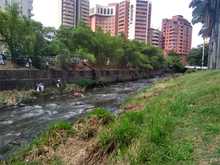 Dagma recupera ribera del r&iacute;o Cali en la zona centro