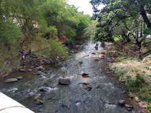 Dagma recupera ribera del r&iacute;o Cali en la zona centro