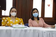 En la Cumbre Metropolitana de Covid-19 se resalt&oacute; el trabajo de las ESE en pandemia